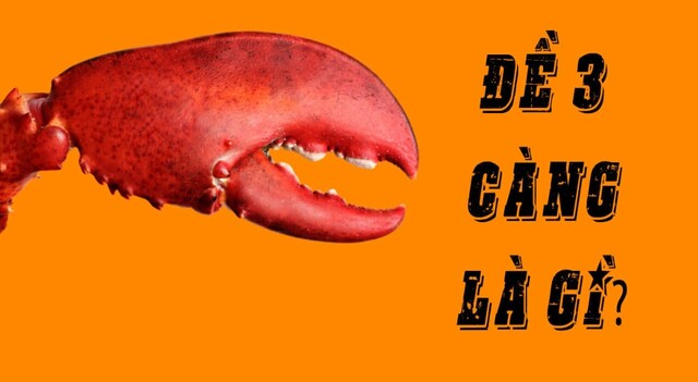 Anh em biết thế nào là soi cầu ba càng